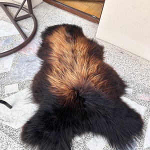 Op de afbeelding: Een langharig schapenvachtkleed met een kleurverloop dat overgaat van diepzwart aan de randen naar een warme, goudbruine tint in het midden. De vacht heeft een onregelmatige, organische vorm met dikke, zachte en gestructureerde haarvezels.