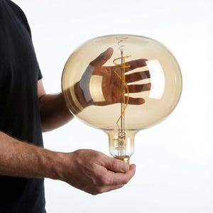 May include: A large, amber-colored decorative light bulb with a visible filament. The bulb is held in a person's hands against a white background. The bulb's base is clear glass with gold-colored metal accents.