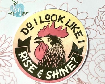 Rise & Shine Sticker, Teacher Gift Sticker, Trendy, Retro Groovy Text, Rooster Sticker, Kindle Sticker, Gift for Girlfriend, Laptop  Sticker