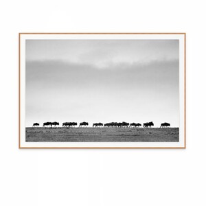 Odbitka przedstawiająca migrację gnu, krajobraz afrykańskiej sawanny, w kolorze i na negatywach czarno-białych, grafika do telewizora Samsung (pobranie cyfrowe)