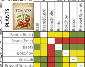 Know What to Plant Together – Companion Planting Chart