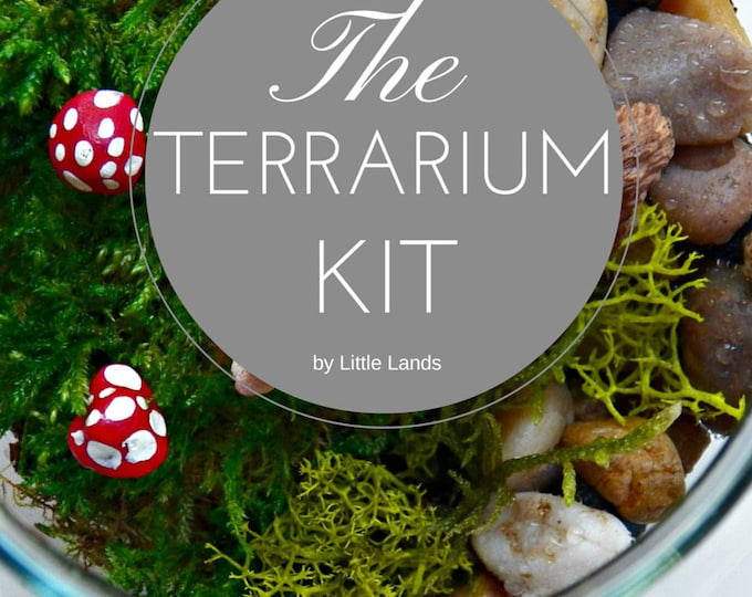 DIY Terrarium Kit Etsy