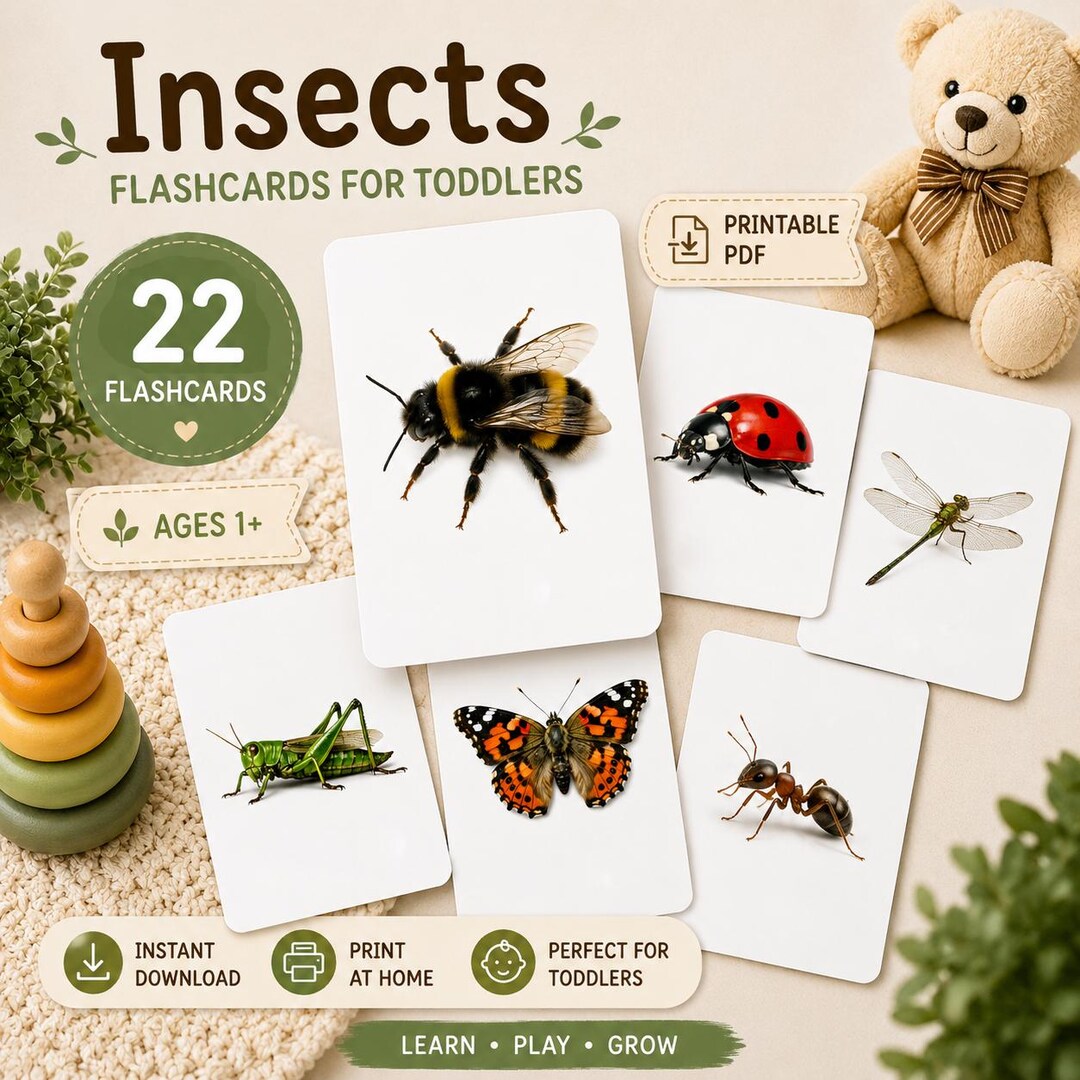 Insects Flashcards Printable | Toddler Learning Cards | Montessori ...