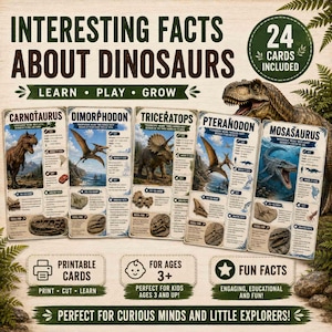 Może przedstawiać: Zestaw 24 edukacyjnych kart o dinozaurach z ilustracjami i faktami na temat karnotaura, dimorfodona, triceratopsa, pteranodona i mozazaura. Karty zawierają sekcje dotyczące diety, znalezisk skamieniałości oraz ciekawostek.