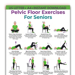 May include: A white instructional poster titled Pelvic Floor Exercises For Seniors, featuring illustrations of a person in a green shirt and black trousers performing twelve different exercises with text instructions and repetition counts for each movement.