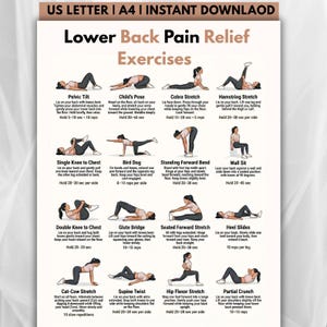 Peut inclure: Une affiche blanche avec des exercices pour soulager les douleurs lombaires. Elle présente des illustrations de mouvements tels que la posture de l'enfant, le chien d'oiseau et l'étirement vers l'avant assis, avec des instructions et des durées.