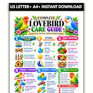 Könnte beinhalten: Eine digitale Infografik mit dem Titel COMPLETE LOVEBIRD CARE GUIDE mit Illustrationen von Unzertrennlichen und sechs Abschnitten zu Käfig, Umgebung, Ernährung, Bindung, Pflege und Gesundheit. Text enthält US LETTER und A4 Größenangaben.