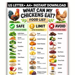May include: A digital chart titled What Can My Chickens Eat? Food List, featuring illustrations of a rooster and hen. It categorizes foods into three columns: Safe for regular feeding, Limit for occasional treats, and Avoid for toxic items.