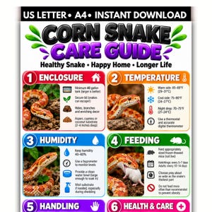 Peut inclure: Un guide d'entretien pour serpent des blés sous forme d'infographie avec six sections : Enclos, Température, Humidité, Alimentation, Manipulation, Santé et Soins. Il contient du texte, des icônes et des images de serpents orange et rouge.