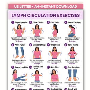 Op de afbeelding: Een digitale poster getiteld LYMPH CIRCULATION EXERCISES met twaalf genummerde illustraties van een persoon in een roze shirt die oefeningen uitvoert zoals vingerstrekken, armcirkels, nekbuigingen en romp-draaiingen.