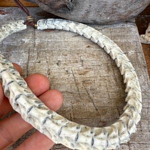 Snake Vertebrae Choker