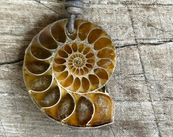 Collar de amonita, collar de fósil marino