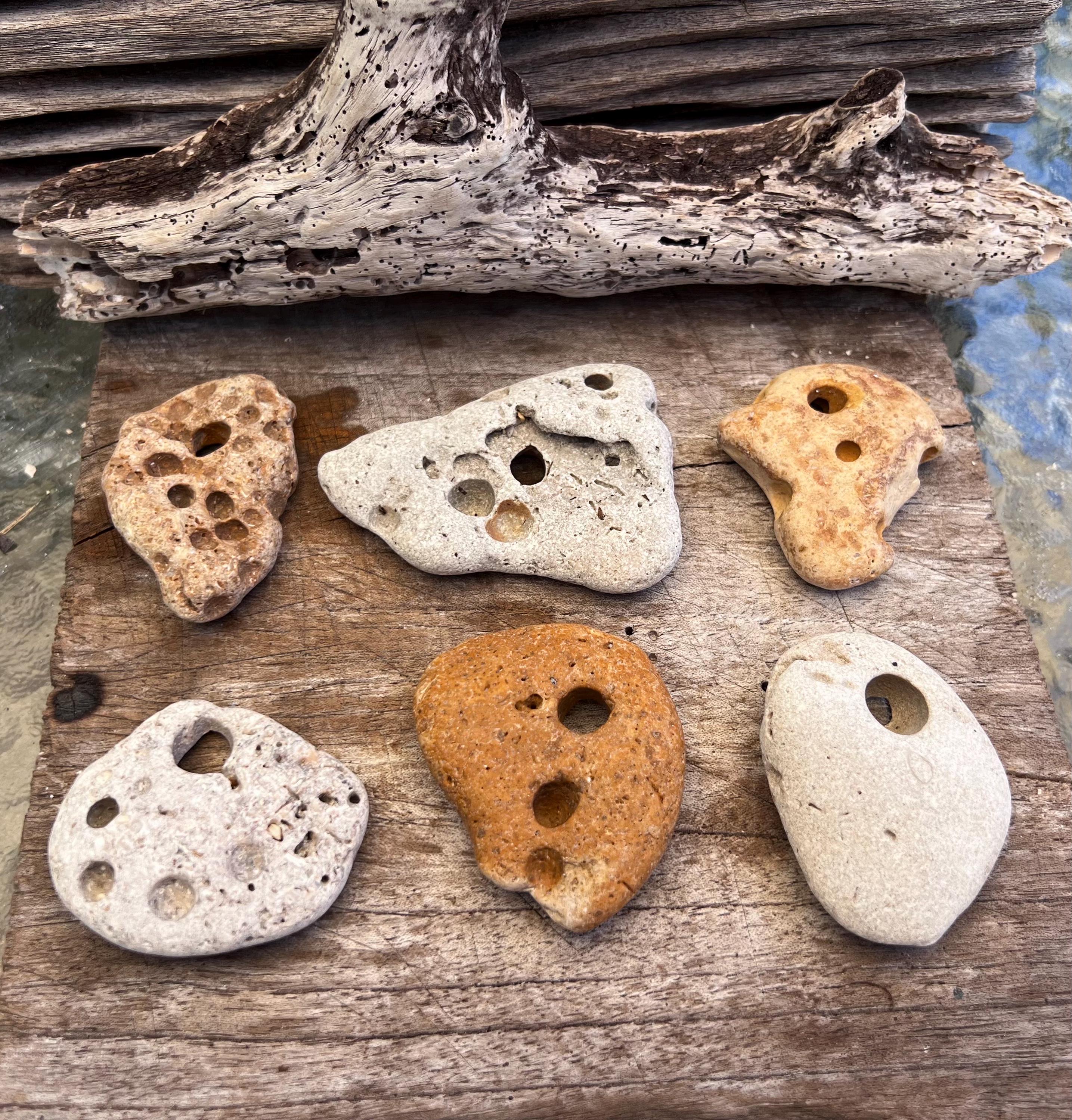 Amazon.com: Big Natural Hag Stones, 7 Different Shapes