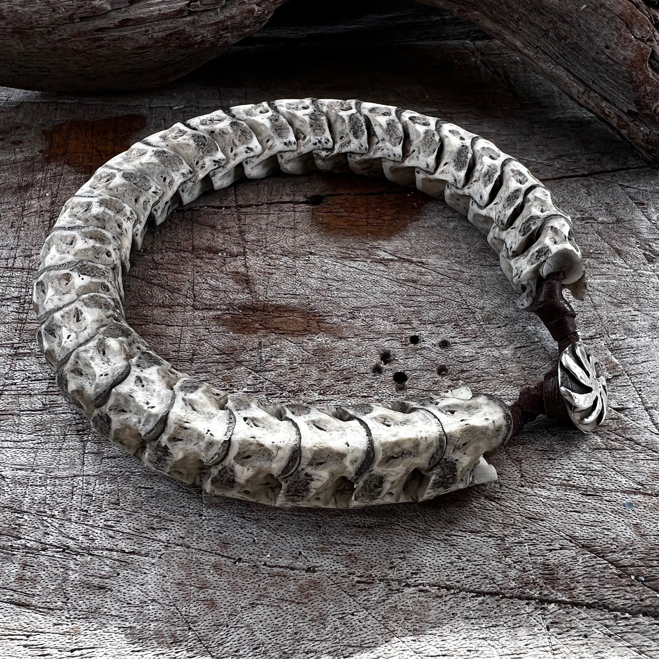 Snake Bone Bracelet With Sterling Silver Clasp - Etsy Snake Bone Bracelet With Sterling Silver Clasp - Etsy