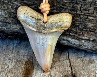 Big Shark Tooth Necklace