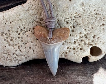 Colgante de diente de tiburón Mako