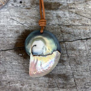 May include: A nautilus shell pendant featuring a polished, iridescent surface with shades of deep blue, grey, and pearlescent white. The shell is suspended from a tan leather cord that passes through a drilled hole at the top of the curved shell.