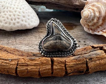 Fossil Shark Tooth Ring