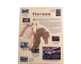 Página de exhibición de sellos de Nicaragua de la Sociedad Postal Conmemorativa: Caballos Nobles y Libres