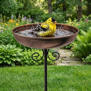 May include: A round, copper-toned metal birdbath basin with a dark, weathered finish, supported by a thin black metal stand featuring decorative scrollwork. A small yellow and black bird is splashing in the water, creating visible droplets.