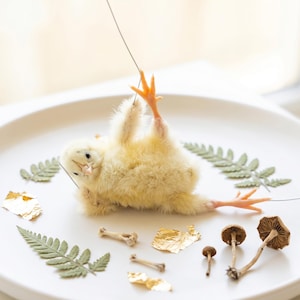 Pode incluir: Um pintinho amarelo fofo pendurado por um fio em um prato branco, cercado por folhas de samambaia, pequenos cogumelos, fragmentos de ossos e folha de ouro. As patas laranja do pintinho são visíveis. Um arranjo artístico e caprichoso.