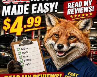 Lista di controllo per veicoli negli Stati Uniti! LEGGI LE MIE RECENSIONI!