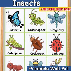 Insects Chart for Kids | Insects Learning Poster | Nursery Wall Art Printable | Preschool Educational Print