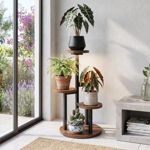 May include: A multi-tiered plant stand featuring a black metal frame and circular wooden shelves. The stand holds four potted plants, including an Alocasia, a fern, a spotted Begonia, and a small cactus arrangement in a blue and white bowl.