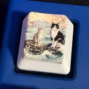 May include: A white keycap with a painted image of two cats near water. One cat is gray and the other is black and white. The keycap is set against a blue background, likely a keyboard.