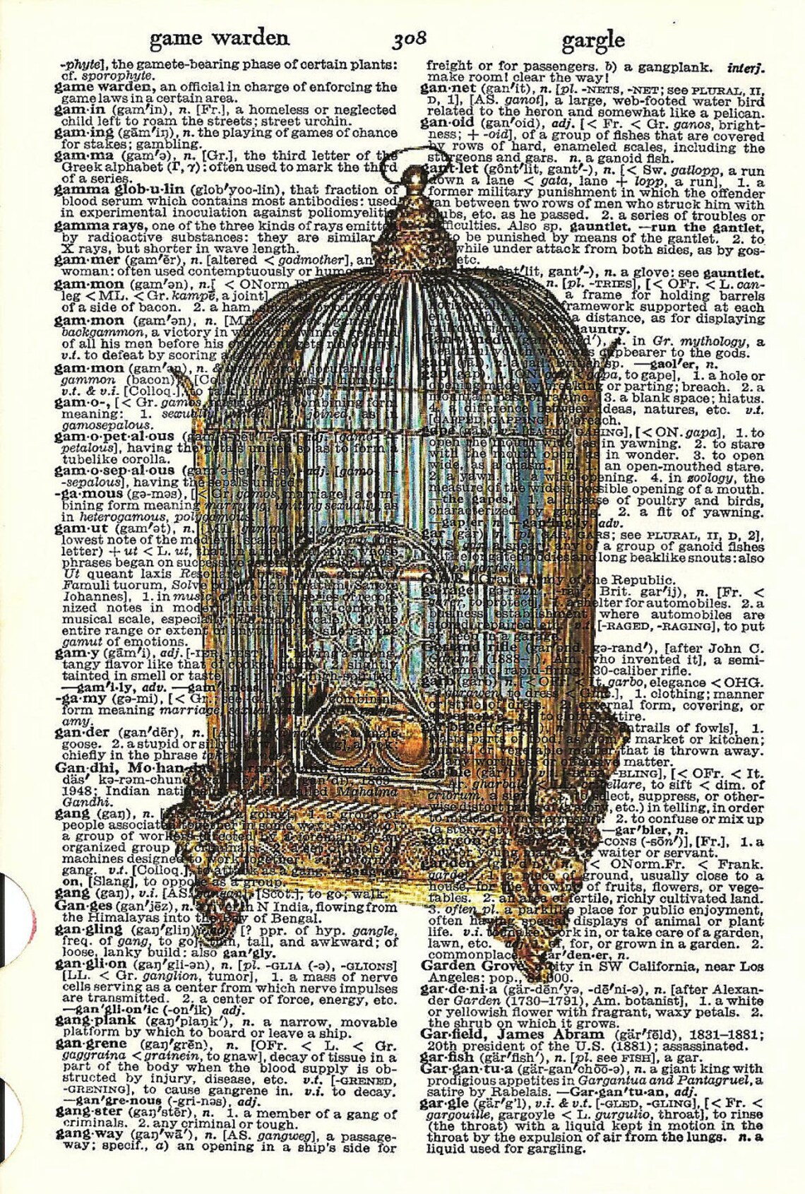 ANTIQUE BIRDCAGE Print Vintage Dictionary Print Beautiful Etsy