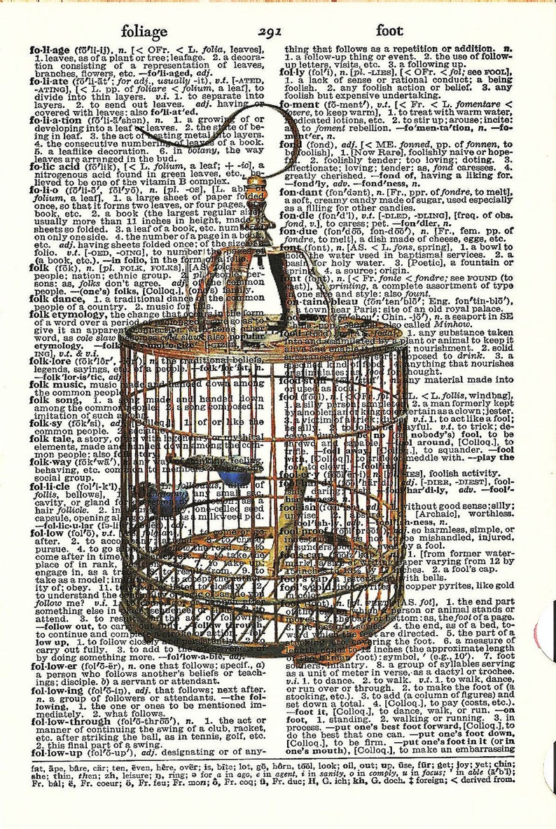 BIRDCAGE Vintage Dictionary Print Beautiful Birdcage Wall Etsy