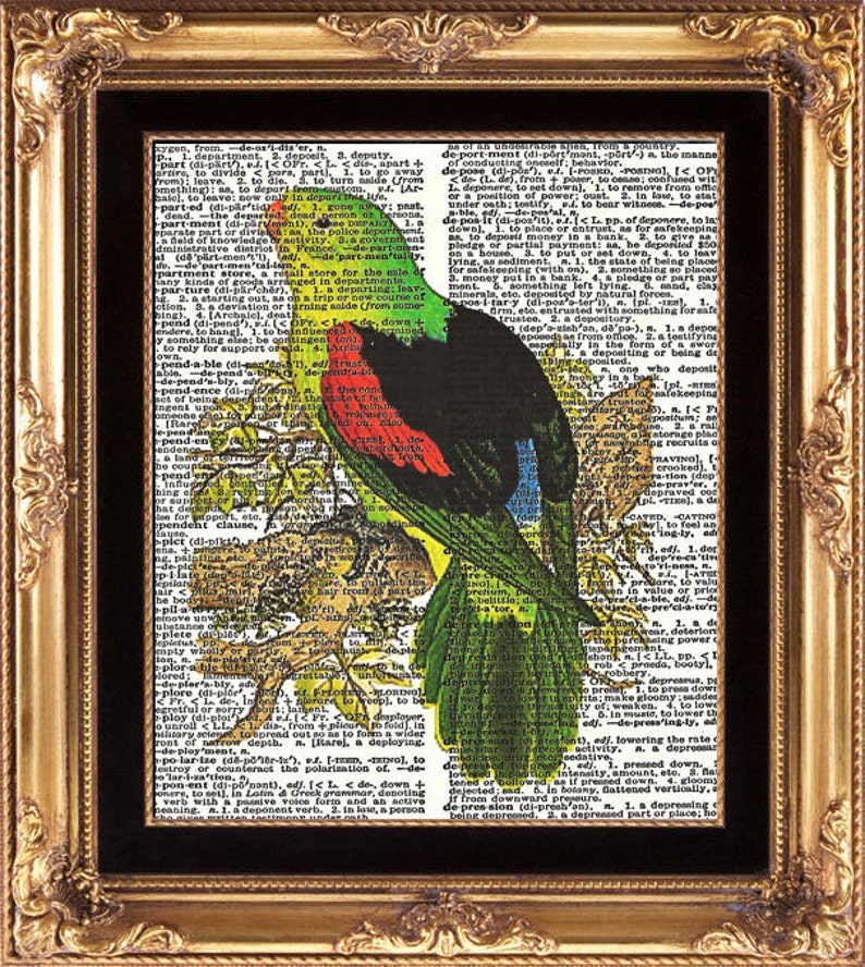 Vintage//Retro DICTIONARY PARROT Bird Vintage print//wall art A4//A3 Wall Decor