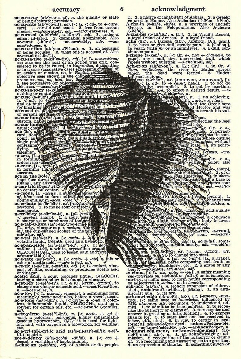SHELL PRINT Vintage Dictionary Print Beautiful Detailed Etsy