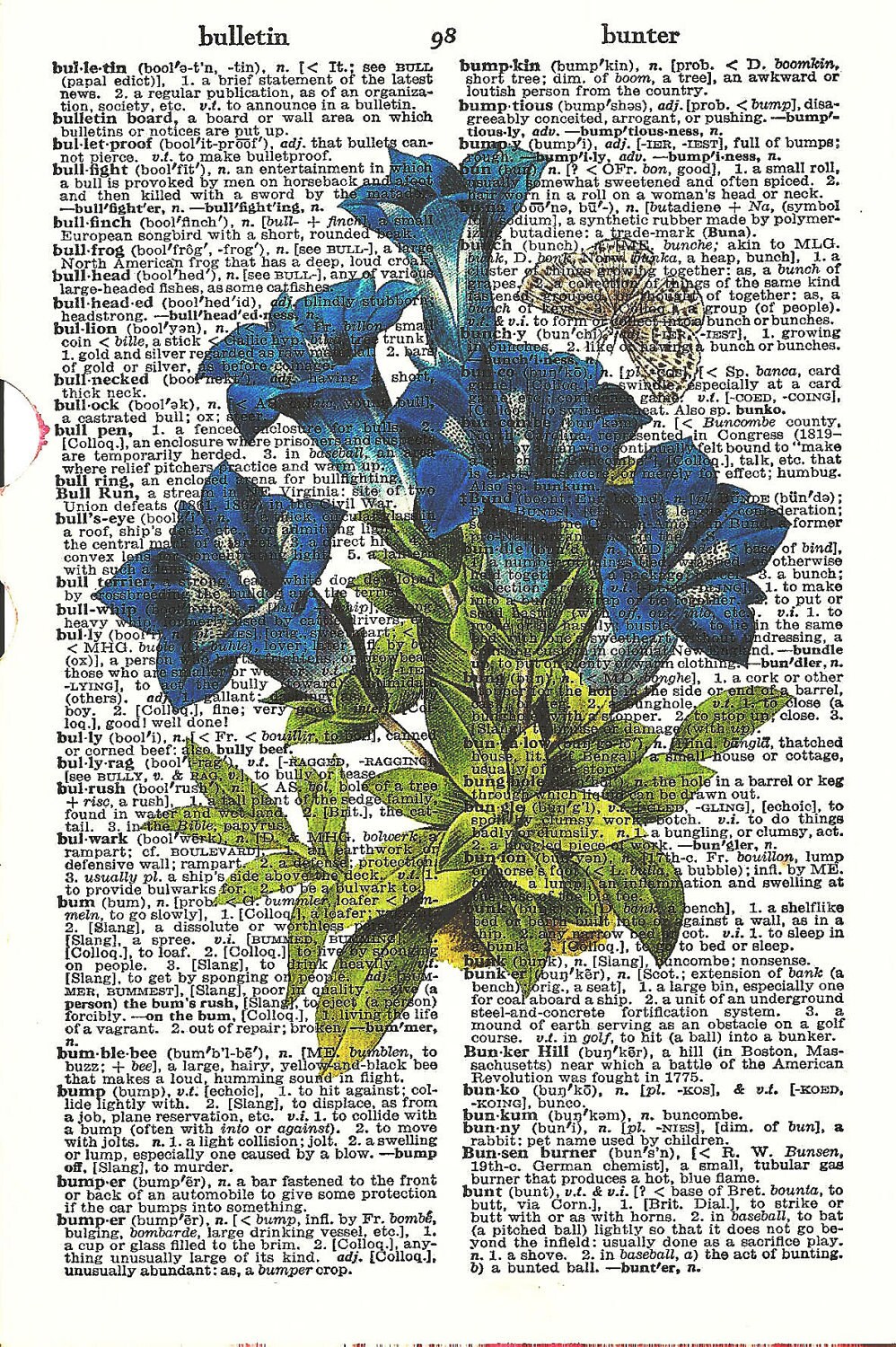 Blue Flower and Butterfly Vintage Dictionary Print to Frame | Etsy