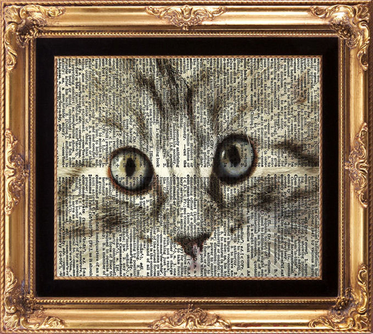 Cat Vintage Dictionary Print Beautiful Black and White Gray Etsy