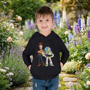 Peut inclure: Un sweat &agrave; capuche noir avec un graphisme color&eacute; de Woody et Buzz Lightyear de Toy Story. Le sweat-shirt &agrave; manches longues est port&eacute; par un jeune enfant, avec un fond de jardin.