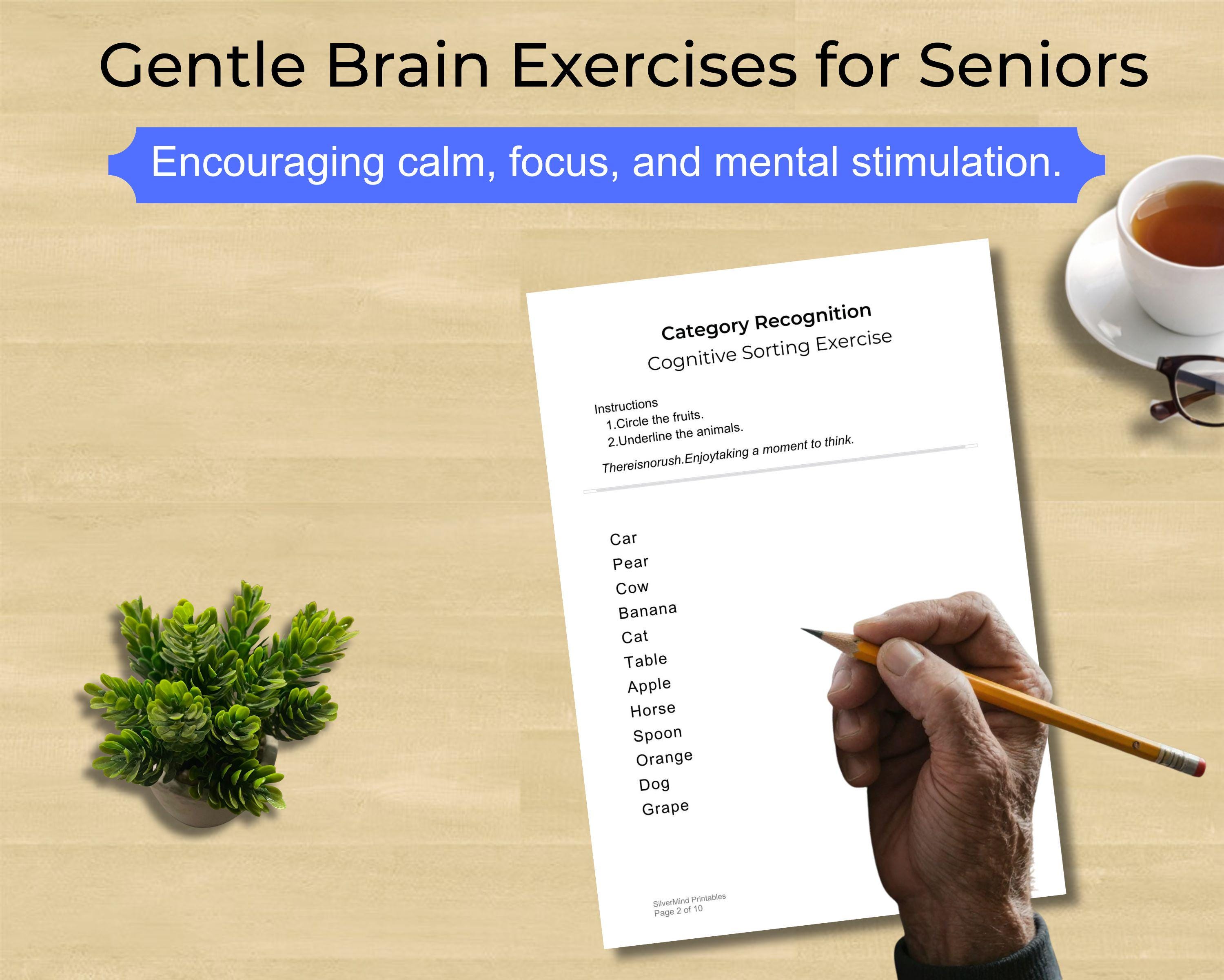 Large Print Cognitive Worksheets for Seniors, Memory Brain Games