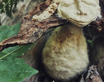May include: A cream-colored, textured, pear-shaped figure with a sculpted face rests beneath a piece of weathered, dark brown bark. The figure has a soft, fibrous appearance and is positioned within a natural setting of wood and green leaves.