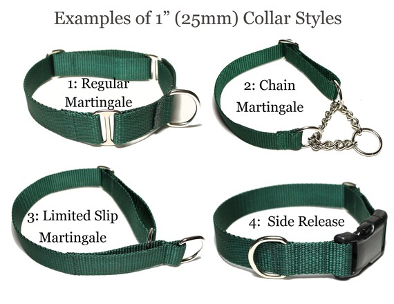 dog collar types martingale