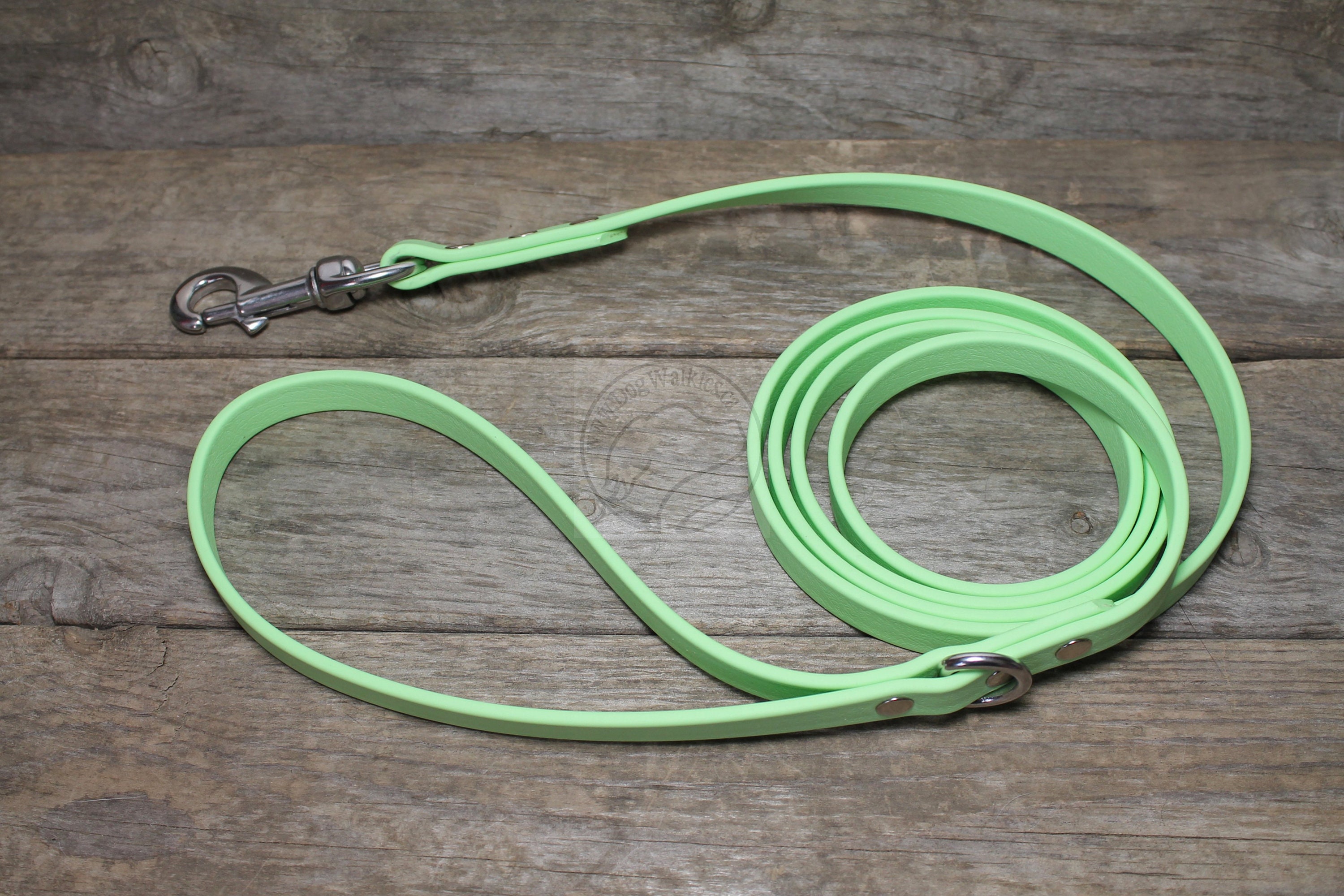 Mint Green Biothane Dog Leash 5/8 16mm wide Choice Etsy