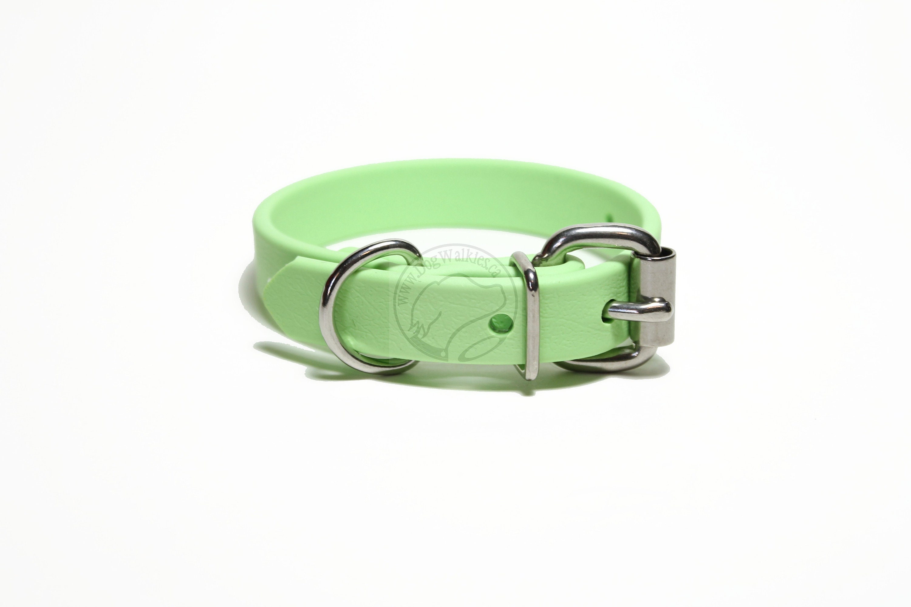 mint green dog collar