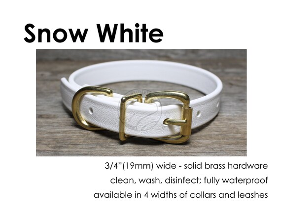 Black Brass Leash Package Deal with Chrome Quick Release and Adjustable Collar Rose Gold 12 or 34 Biothane Rainbow