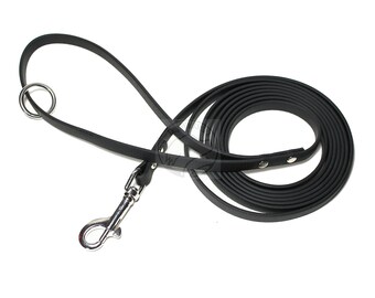 palomine biothane leash