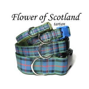 Flower of Scotland Tartan Dog Collars - All Sizes - 4 Widths - Sage, Blue and Green Plaid - Scottish Tartan