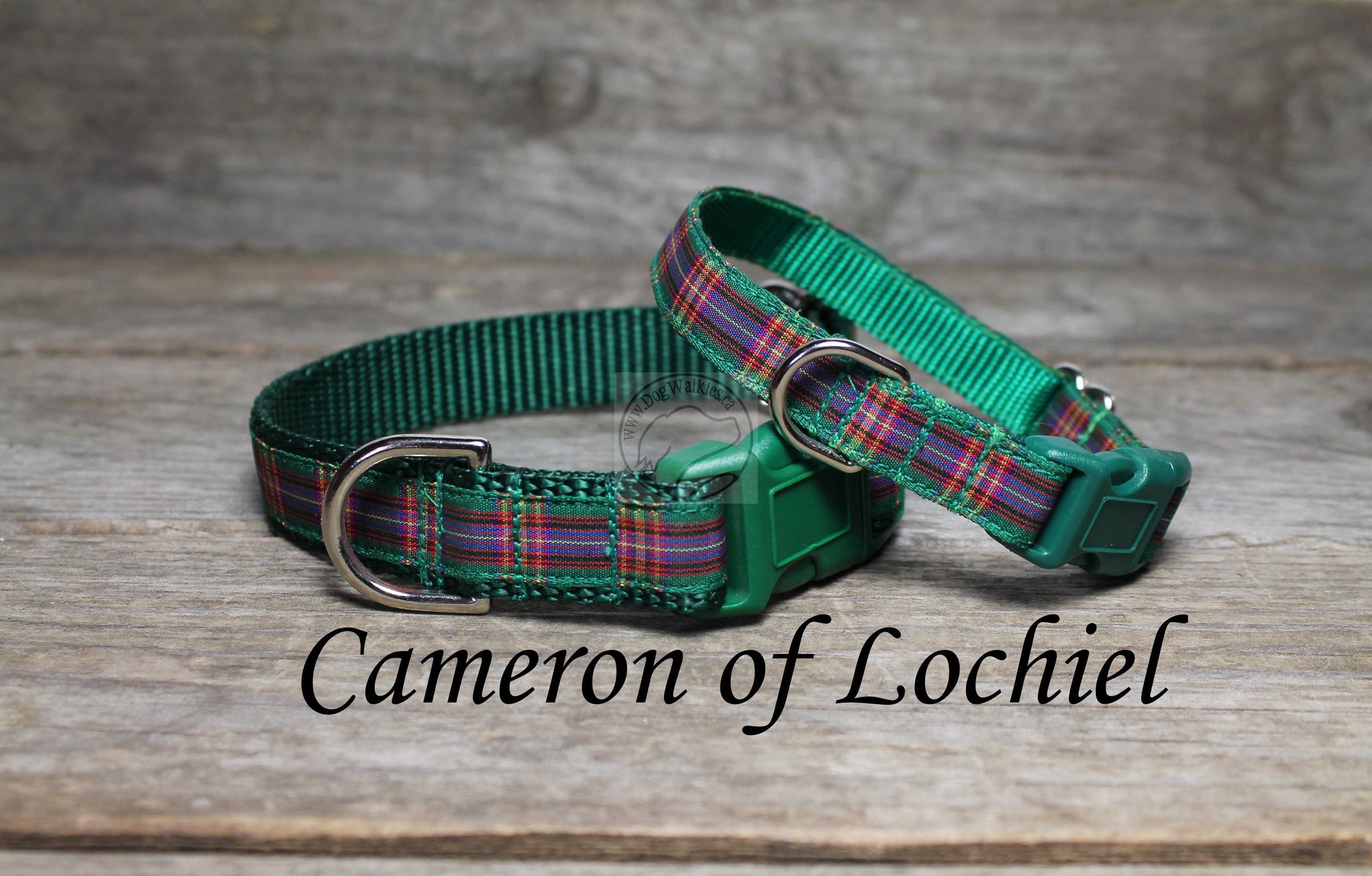 Green tartan dog collar hotsell