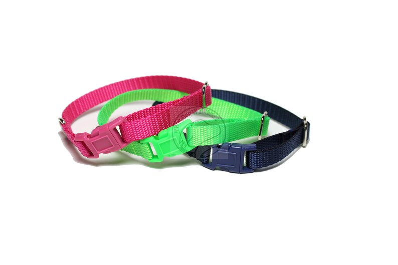 width Breakaway Buckle Red Yellow Blue Black White Green Pink Orange Purple 9mm Cat Collar Mix and Match 38