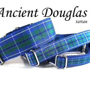 Colliers pour chien en tartan ancien du clan Douglas - toutes les tailles - 4 largeurs - carreaux bleu et vert - tartan de Douglas