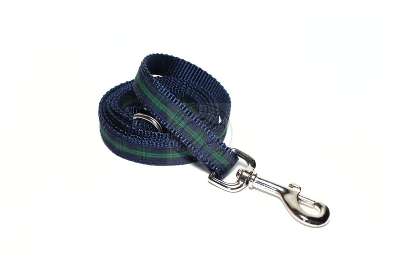 5280 dog leash