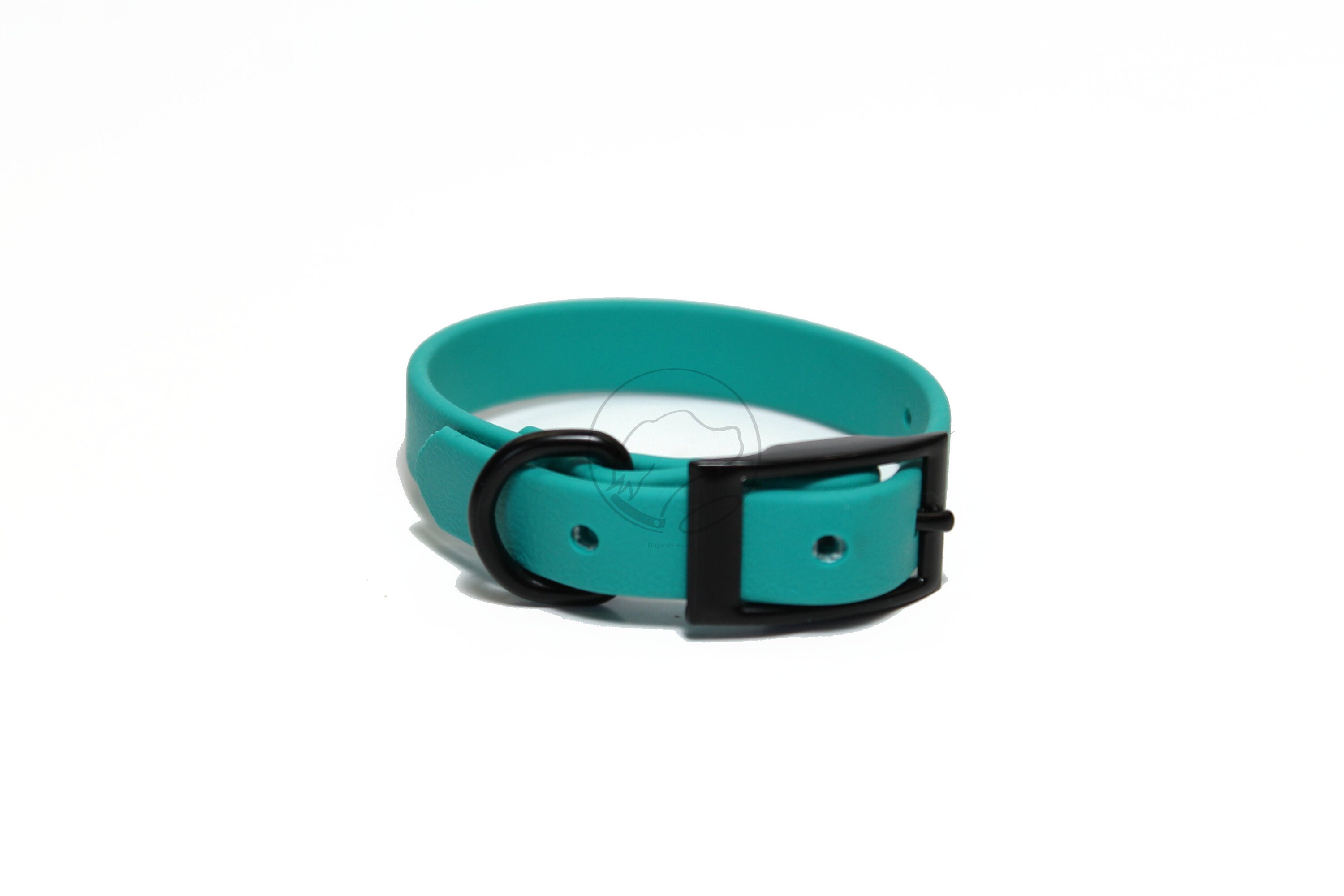 teal dog collars