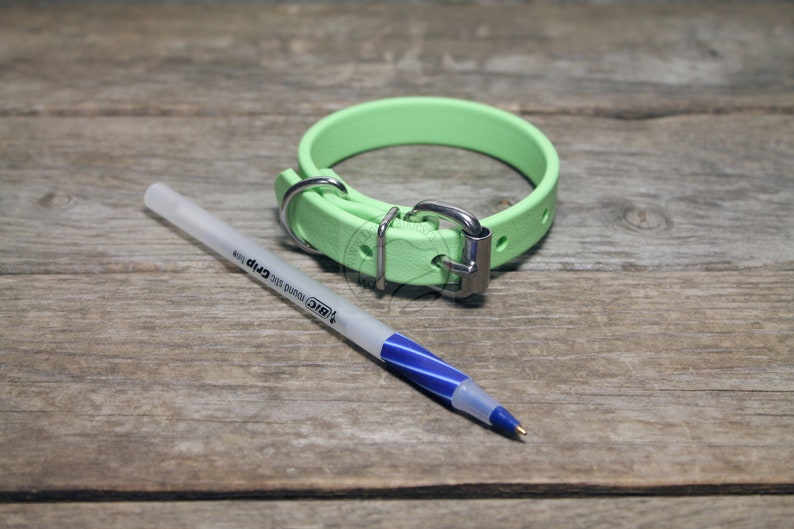 Mint Pastel Green Biothane Dog Collar 5/8 16mm wide Etsy
